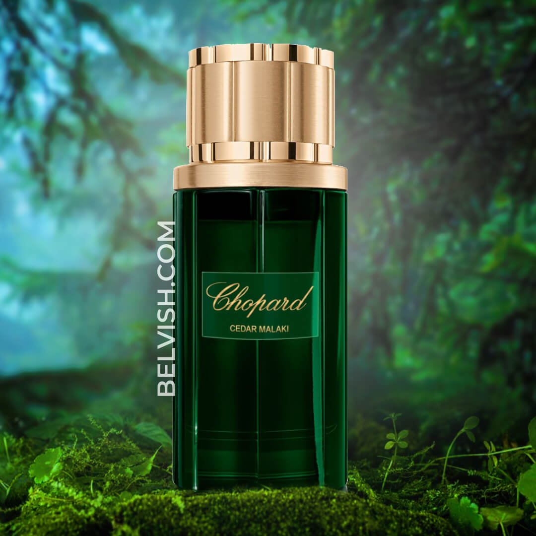 chopard cedar malaki edp